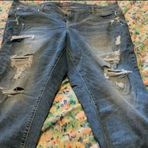 Size 20 Torrid jean capris